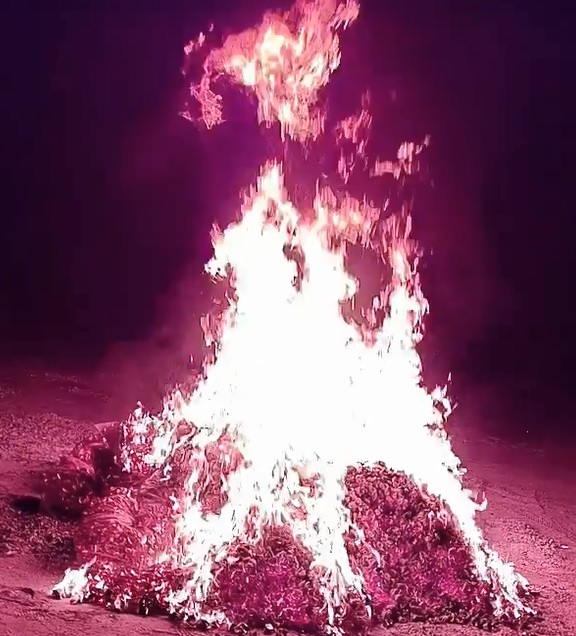 Burn Off Your Karmic Debts with Gold ingot Paper Spirit Money image4